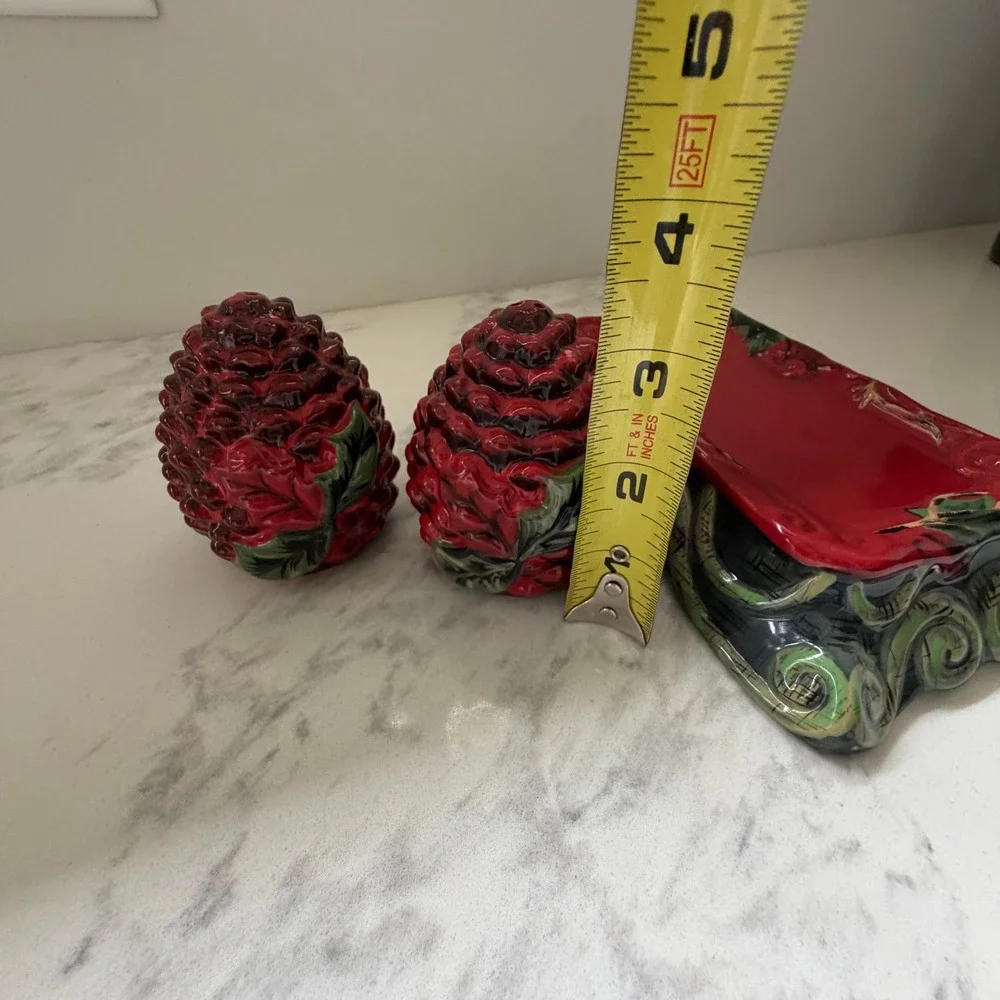 Tracy Porter Winter Collection Red Pinecone Salt and Pepper Shakers with Tray